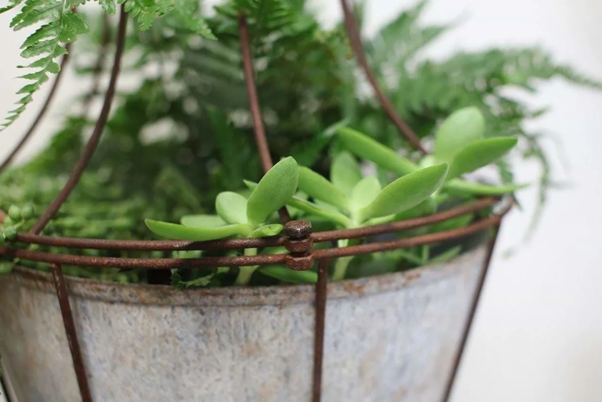 Abari Caged Hanging Planter