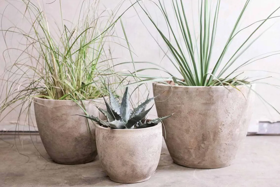Affiti Clay Planter - Medium