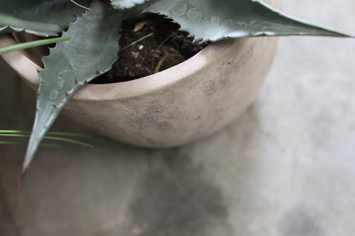 Affiti Clay Planter - Medium