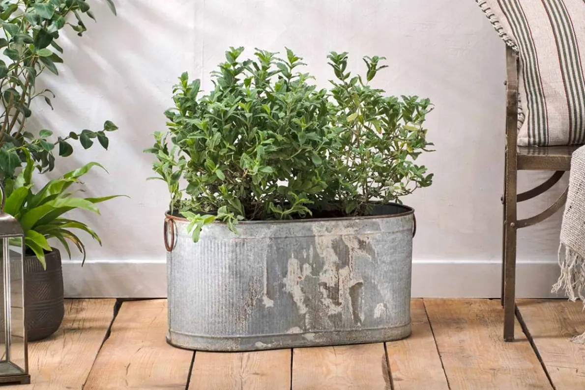 Akasa Trough Planter - Zinc