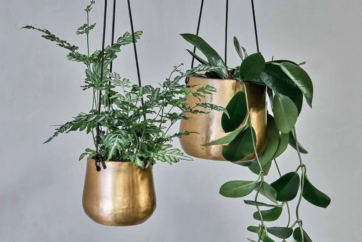 Atsu Brass Hanging Planter
