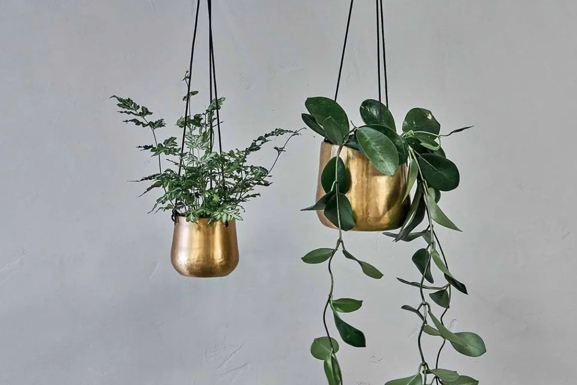 Atsu Brass Hanging Planter