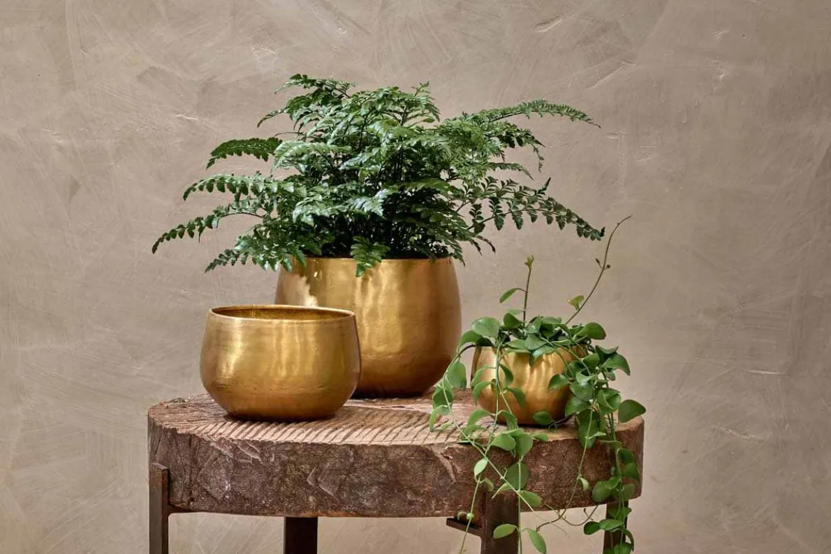Atsu Brass Planter
