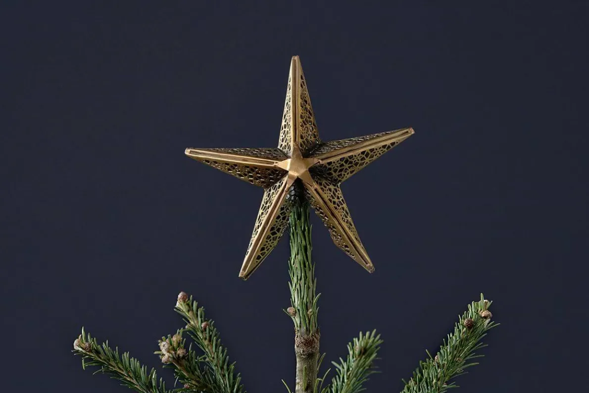 Bishakha Star Tree Topper