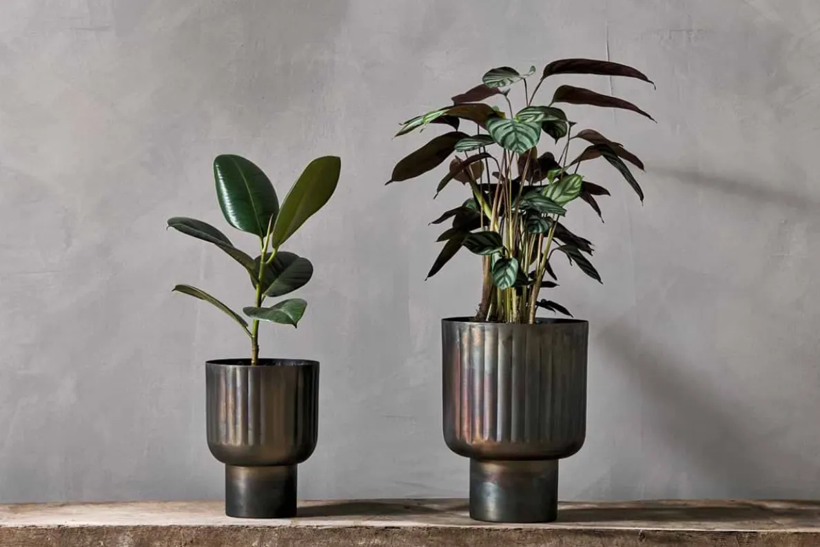 Dasalla Planter - Aged Brass