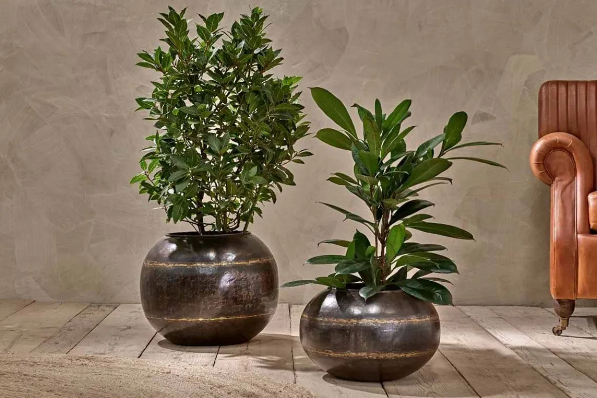 Endo Reclaimed Iron Globe Planter