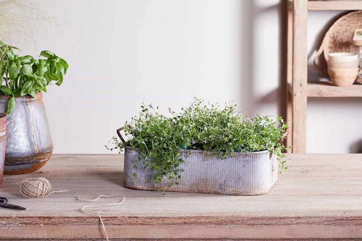 Japos Outdoor Planter Tray - Aged Zinc