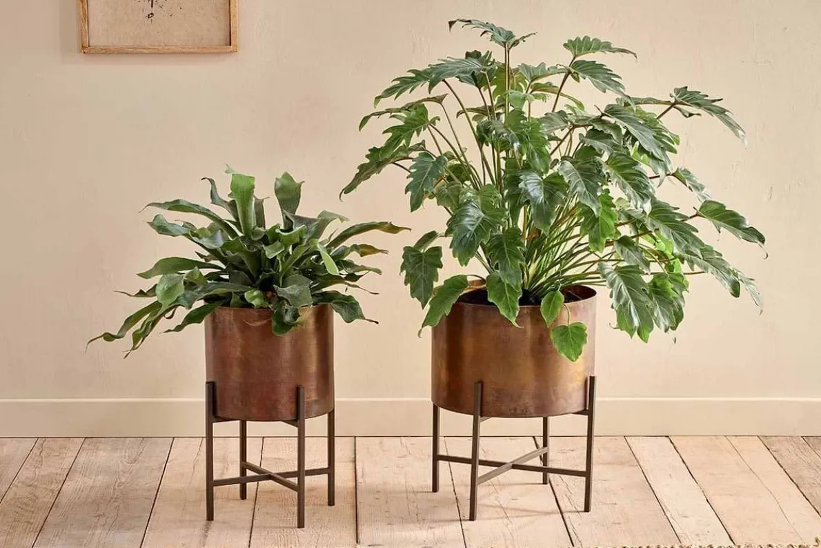 Juoni Iron Planter
