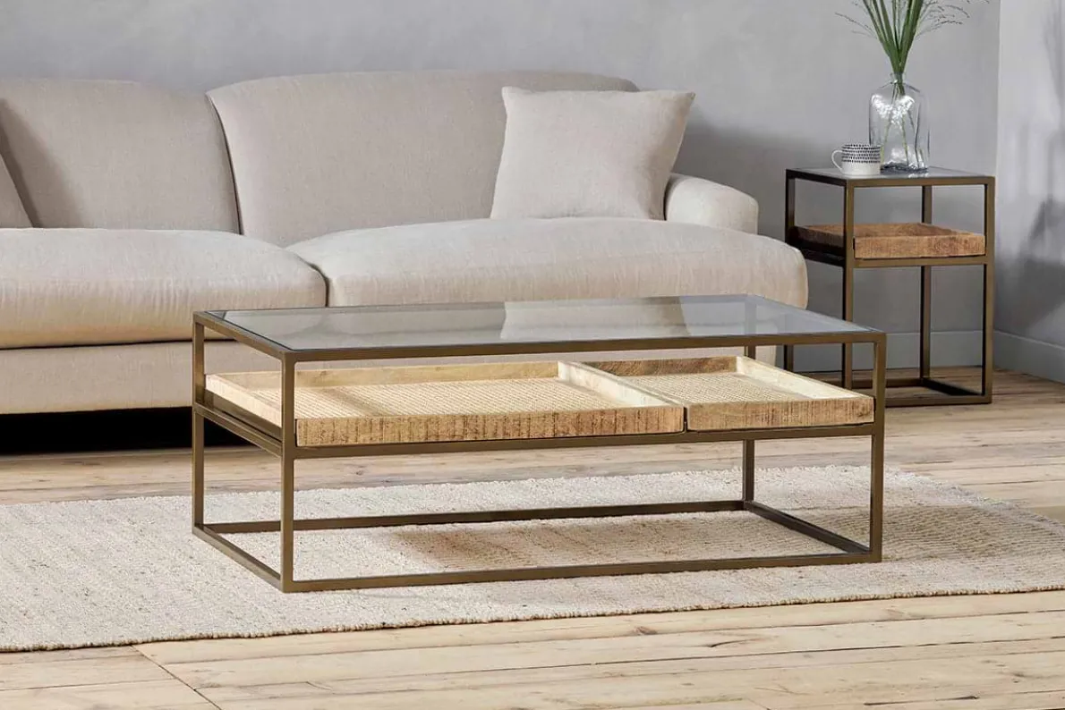 Luzon Iron & Mango Wood Display Coffee Table - Brass