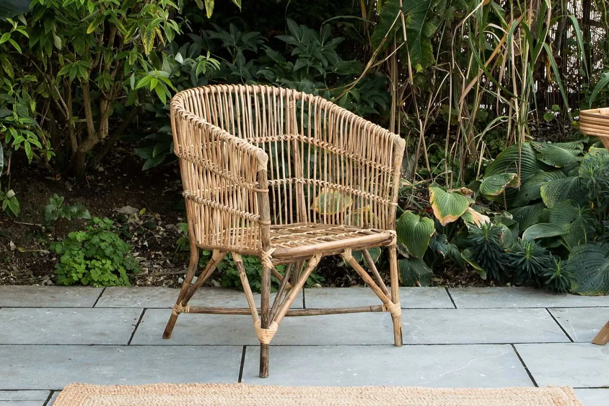 Nesari Rattan Armchair